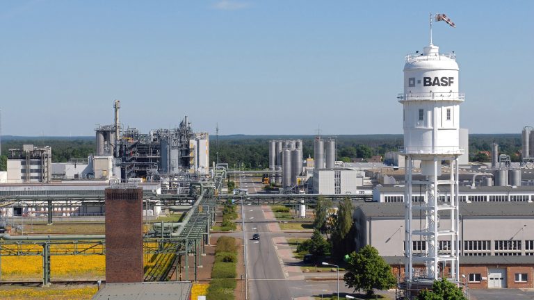 Schwarzheide: Woidke empfing spanischen Botschafter