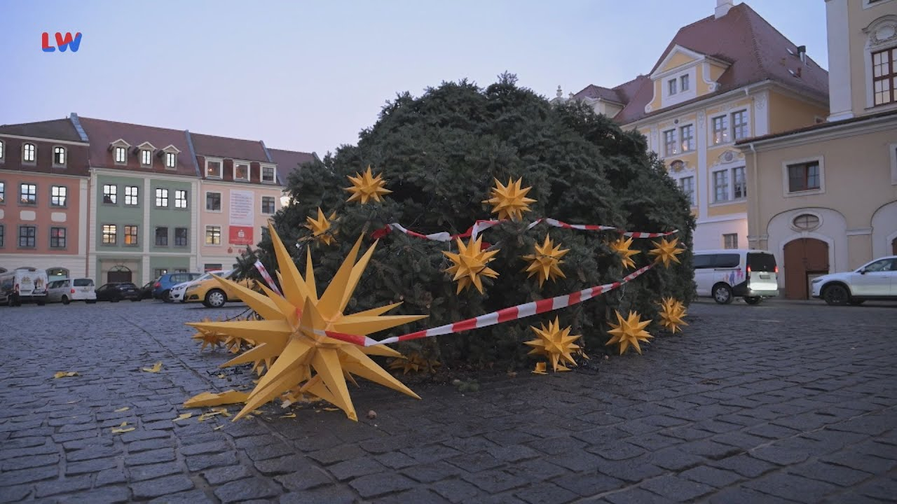 Löbau: Weihnachtsbaum abgesägt