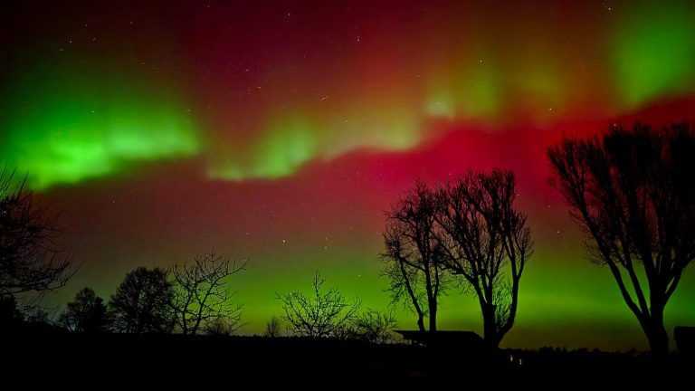 Lausitz: Naturschauspiel mit leuchtenden Farben