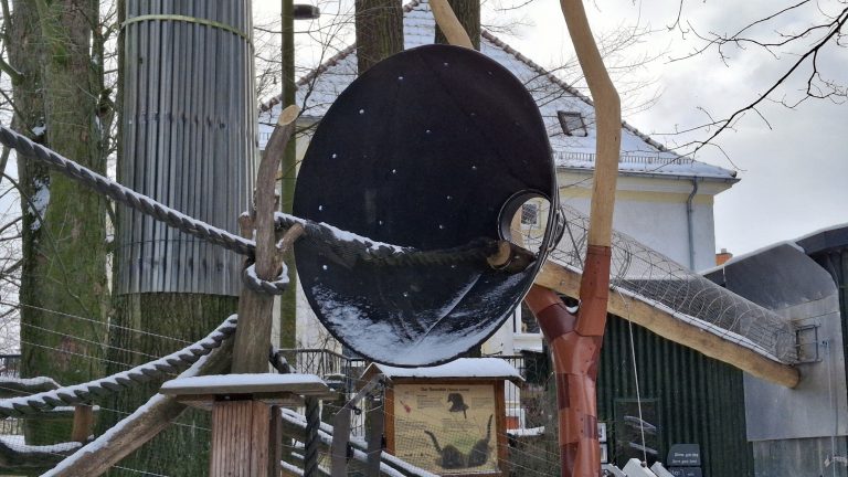 Bischofswerda: Ein Trichter für die Nasenbären