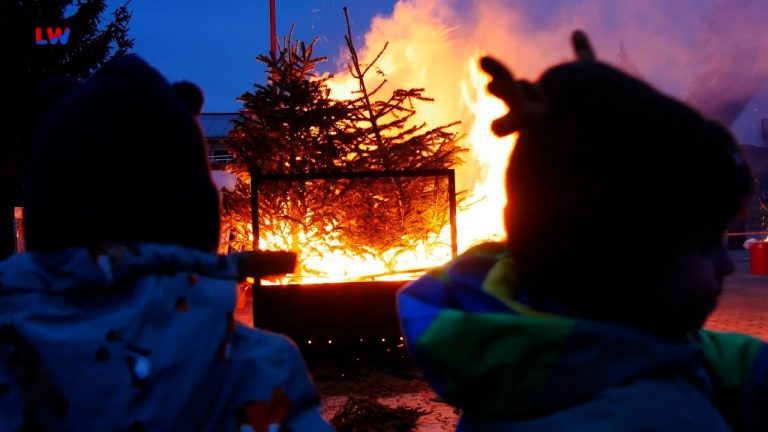 Pulsnitz: Weihnachtsbaumverbrennen