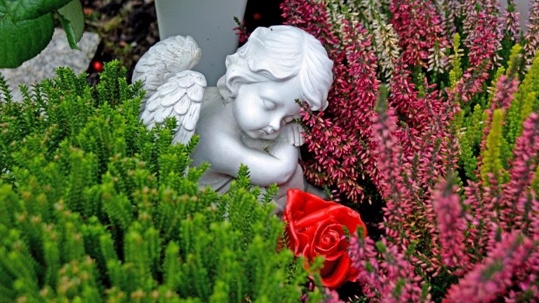 Senftenberg: Erinnern und Respekt für Verstorbene ohne Angehörige