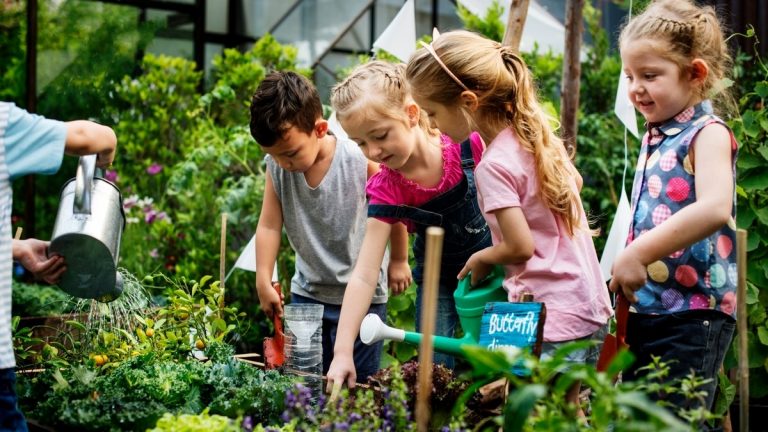 LK Görlitz/ Ostritz: Fachtag für Pädagogen