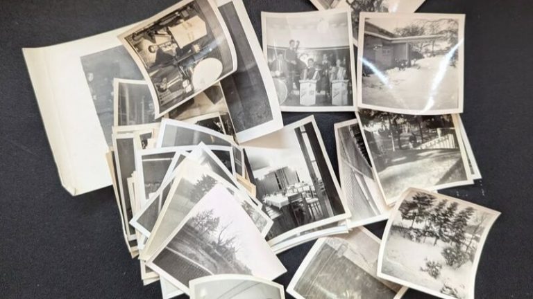 Löbau: Haus Schminke sucht Fotos