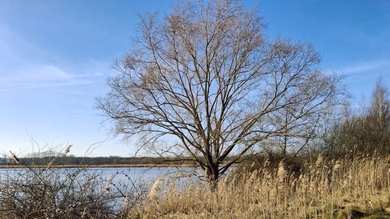 Malschwitz OT Wartha: Biosphärenreservat ist jetzt 2.300 Hektar größer