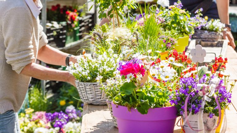 Spremberg: Extra-Markttag zum Frühlingsstart