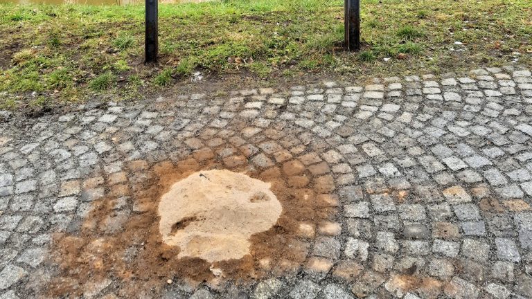 Spremberg: Illegale Müllablagerungen sorgen weiterhin für Gefahr