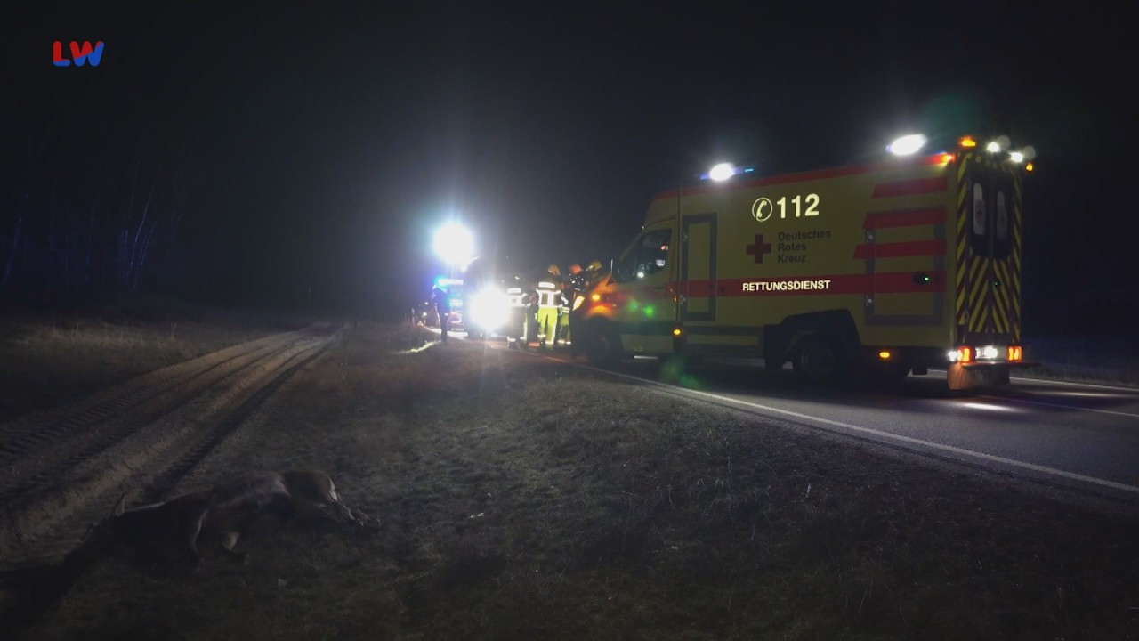 Boxberg: Crash mit Hirsch