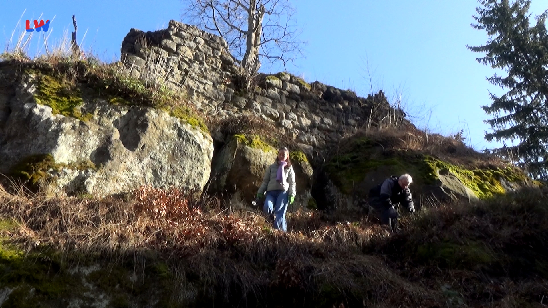 Zittau: Arbeitseinsatz an der Burgruine Karlsfried