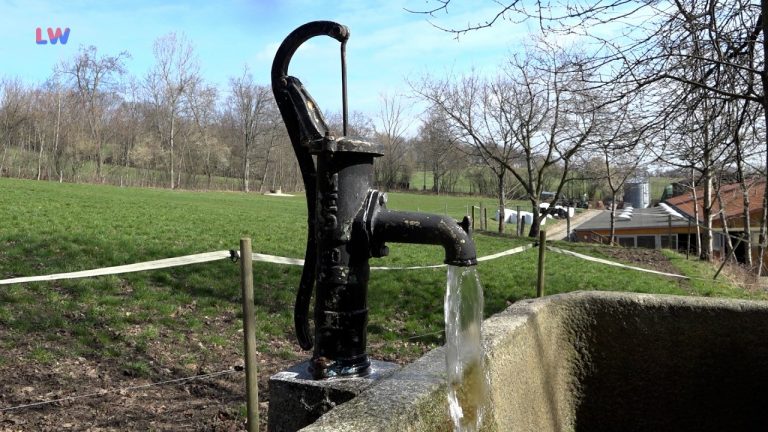 Görlitz: Weltwassertag – Nachdenken über Lebensmittel Nummer 1