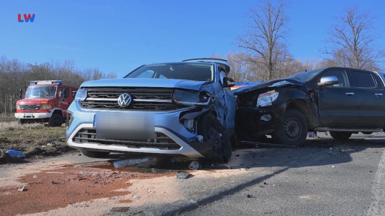 Hörnitz: Unfall mit Hunden