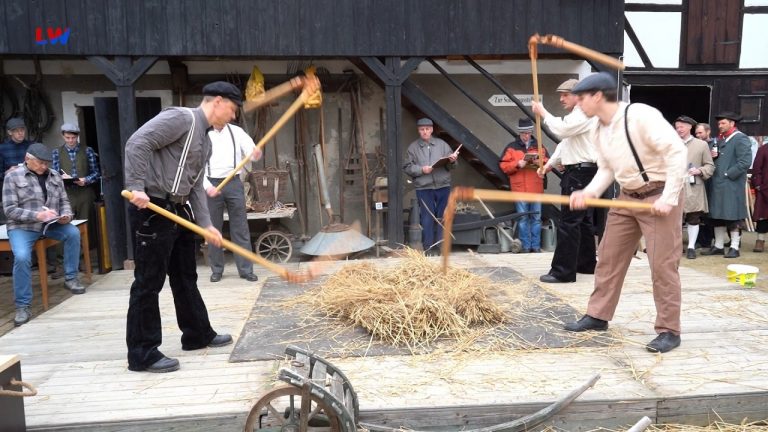 Markersdorf. 30. Internationalen Flegeldrusch im Dorfmuseum