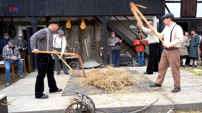 Markersdorf: 30. internationaler Flegeldrusch im Dorfmuseum