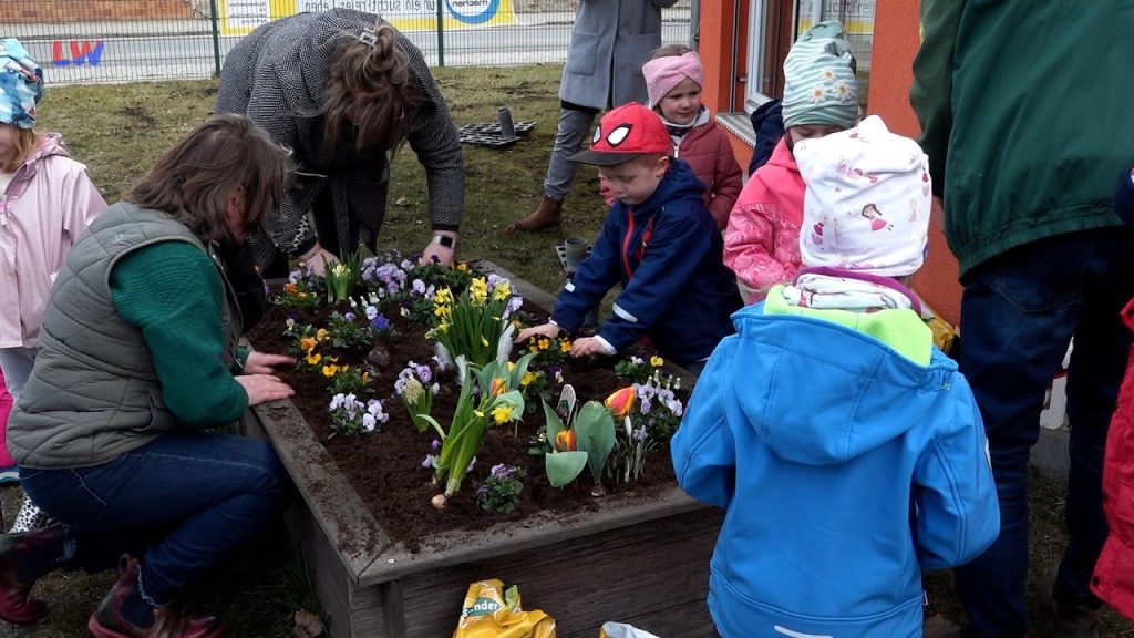 Massen: Neue Blumen für die Kita-Schlaumäuse