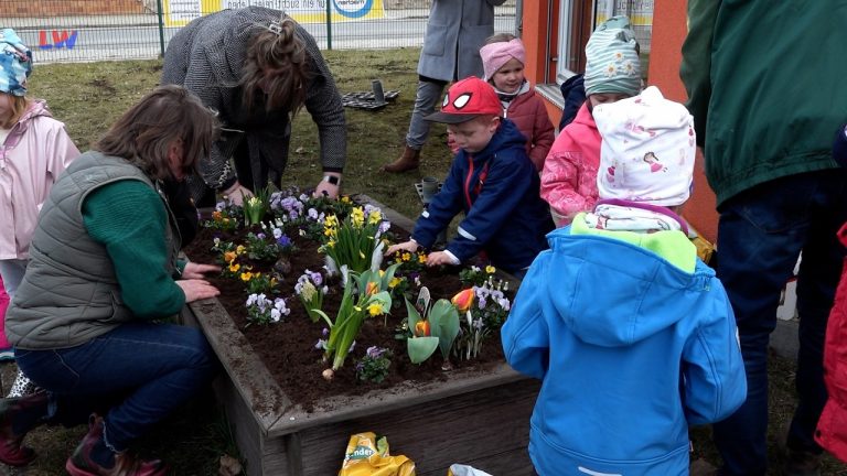 Massen: Neue Blumen für die Kita-Schlaumäuse