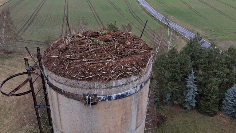 Neschwitz: Geschütztes Storchennest gesichert