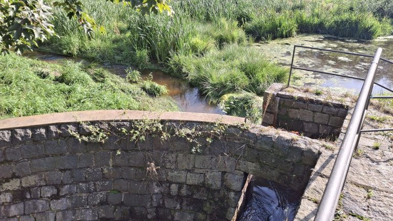 Schmölln-Putzkau OT Schmölln: Im Mühlteich kann gebaut werden