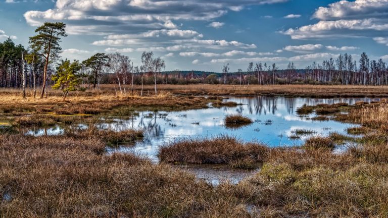 LK Elbe-Elster: Fotowettbewerb zum Naturpark-Jubiläum