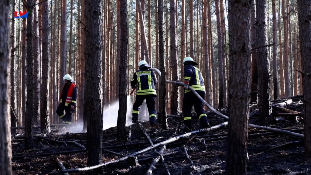 Jerischke: Waldbrand in der Grenzregion zu Sachsen
