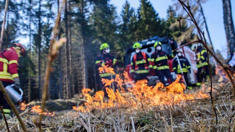Oybin: Trinationale Feuerwehrübung in Lückendorf