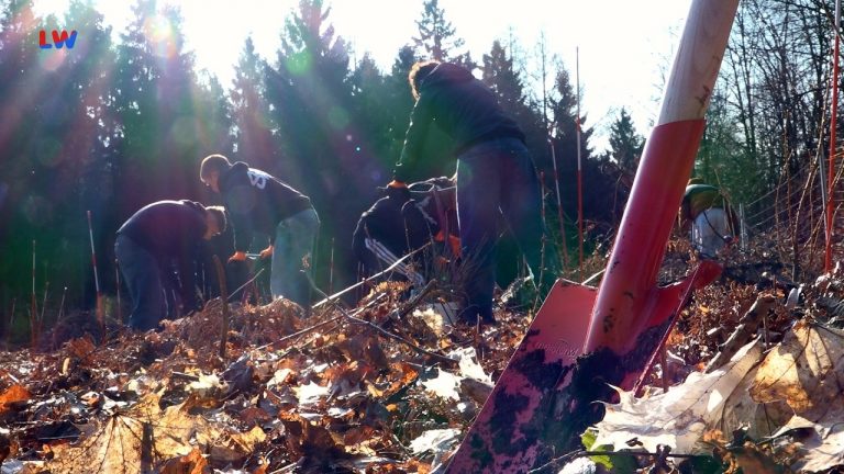 Bischofswerda: Wenn Schüler Wurzeln schlagen