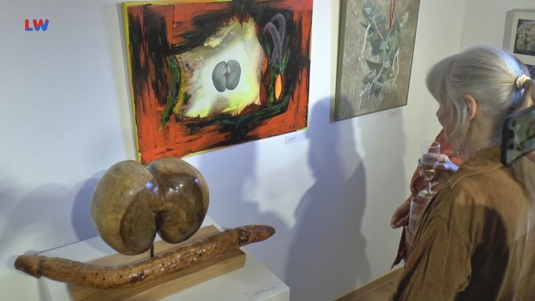 Finsterwalde: 15.Amateurkunstausstellung