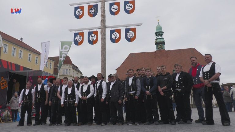 Finsterwalde: Der Maibaum steht