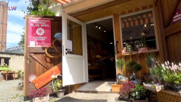 Großschönau: Tag der offenen Gärtnerei