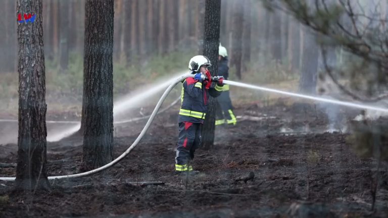 Hohenbucko/Döbern-Land: Waldbrände