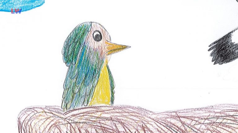 Kulturfenster: Geschichten aus der Bücherkiste - Ein Vögelein hat Höhenangst