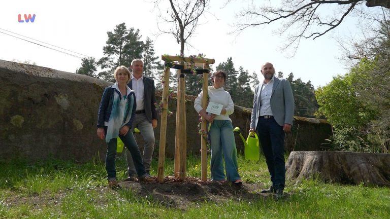 Ottendorf-Okrilla: Nachwuchs im Schlosspark