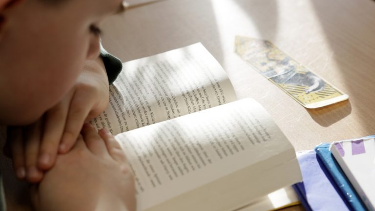 Radibor: Mit Harry Potter durch das Schuljahr