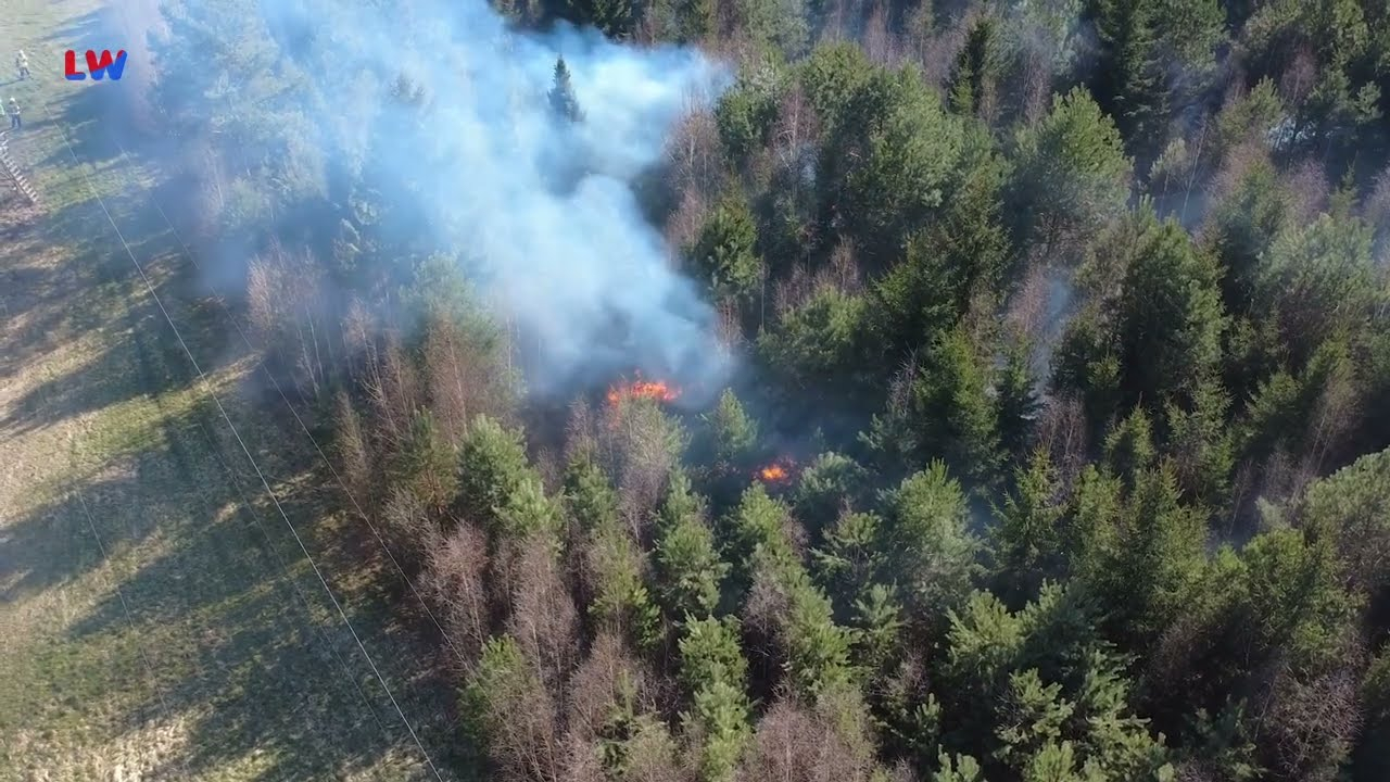 Sandschenke/Niesky: Waldbrand über 5 Hektar