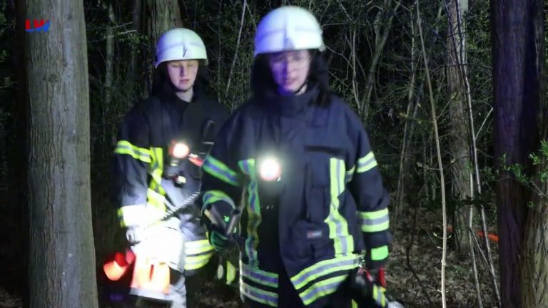 Senftenberg: Brand im Stadtwald