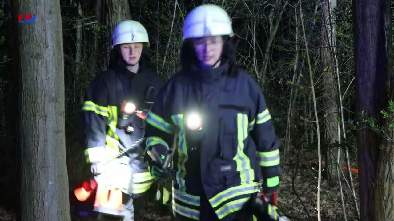 Senftenberg: Brand im Stadtwald