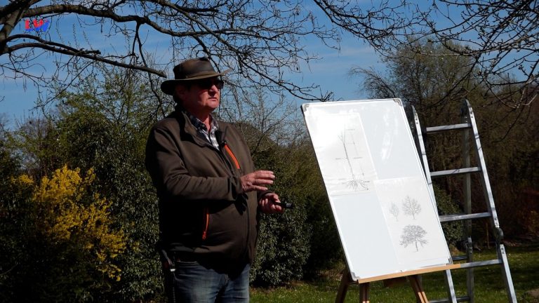 Steina: Mit Ruhe an den Obstbaum-Schnitt!