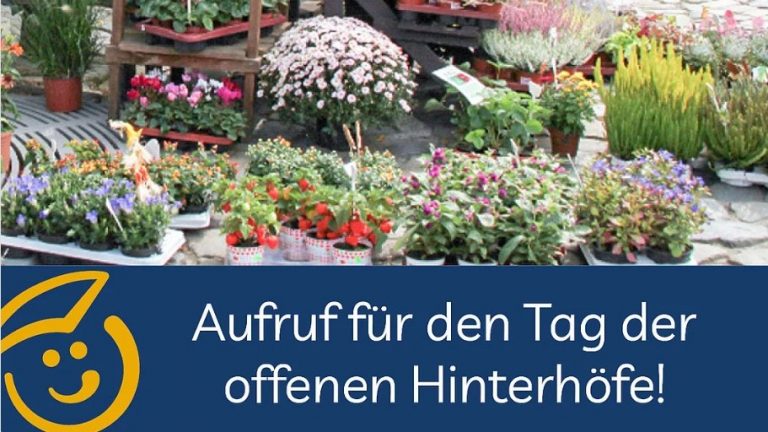 Bischofswerda: Teilnehmer gesucht