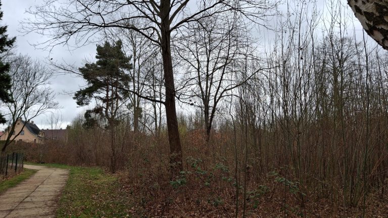 Bischofswerda: Was aus der Landbau-Brache werden soll