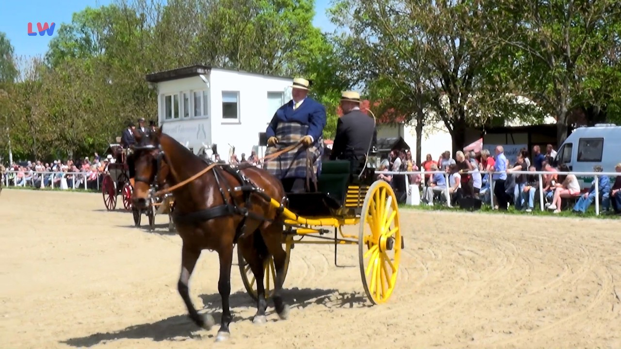 Bernstadt OT Kemnitz: 20. Fuhrmannstage