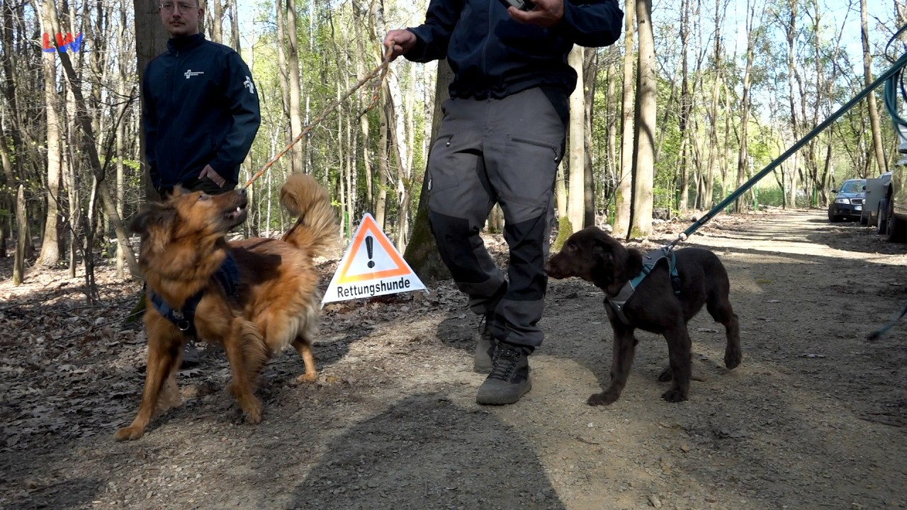 Lauchhammer: Tierisches von den Rettungshunden