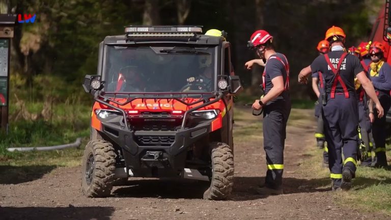 Tschechien/Lausitz: Großer Waldbrand hält Feuerwehr in Atem