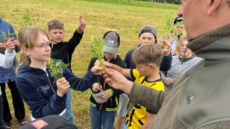 Missen/Ogrosen: Acker statt Schulbank