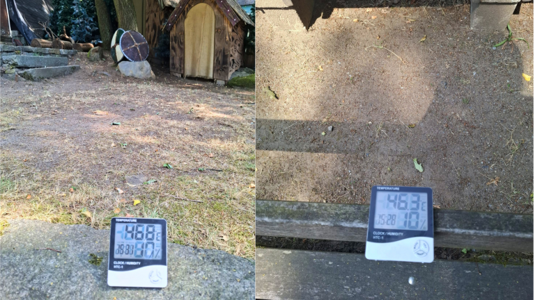 Haselbachtal OT Reichenau: Hitzestau auf der Naturbühne