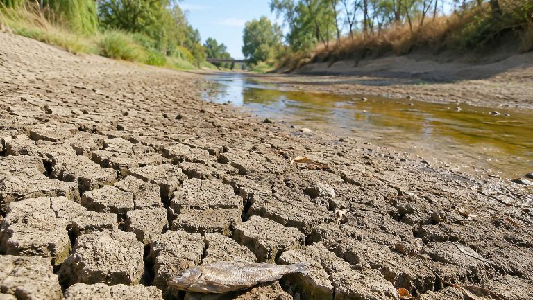 LK Elbe-Elster: Ab sofort Wasserentnahmeverbot