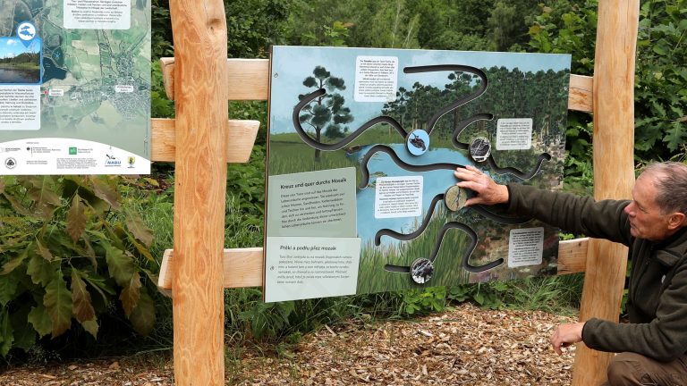 Wittichenau: Neue Infotafeln machen das Dubringer Moor erlebbar