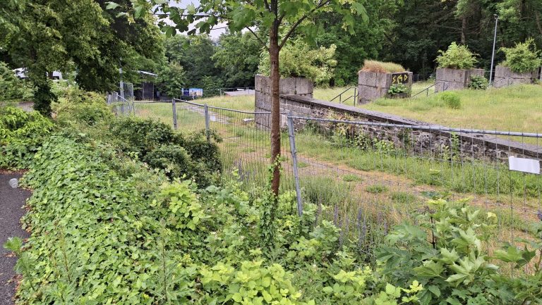 Kamenz: Neuer Zaun für die Hutbergbühne