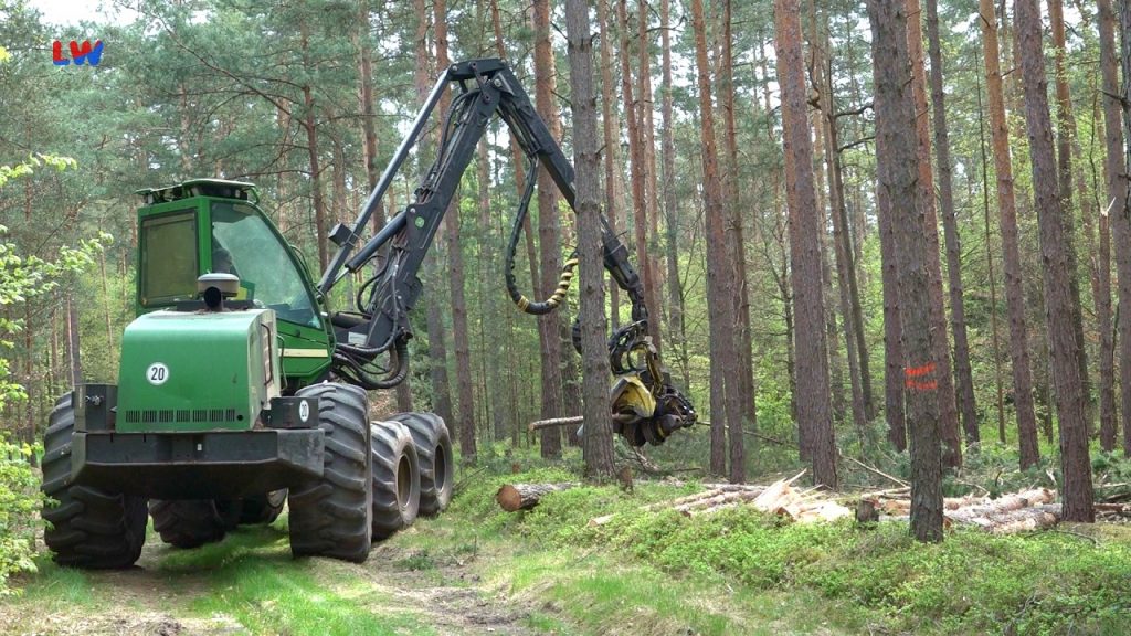 Krauschwitz: Forstwirt beherrscht im Wald hunderte Pferdestärken