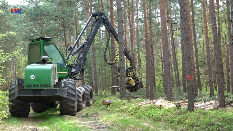 Krauschwitz: Forstwirt beherrscht im Wald hunderte Pferdestärken