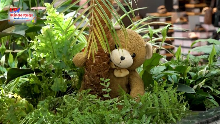 natürlich Lausitz: Der Teddybär