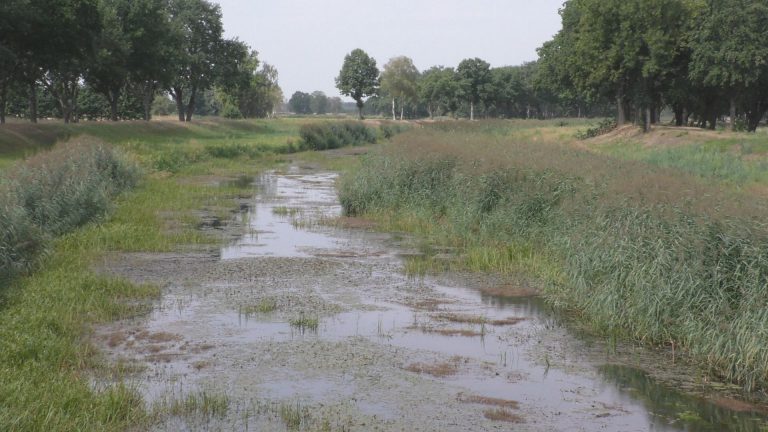 Plessa: Rampe in der Schwarzen Elster lässt Wasserpegel steigen